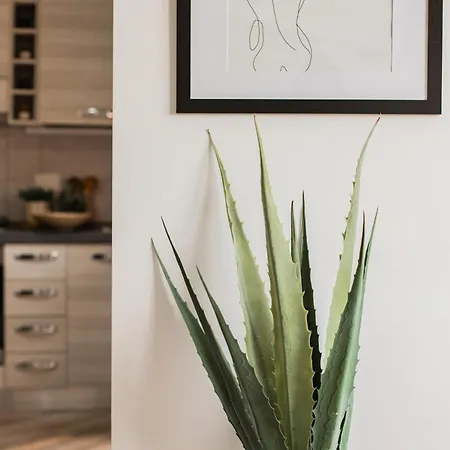 公寓 La Casa Di Marigio